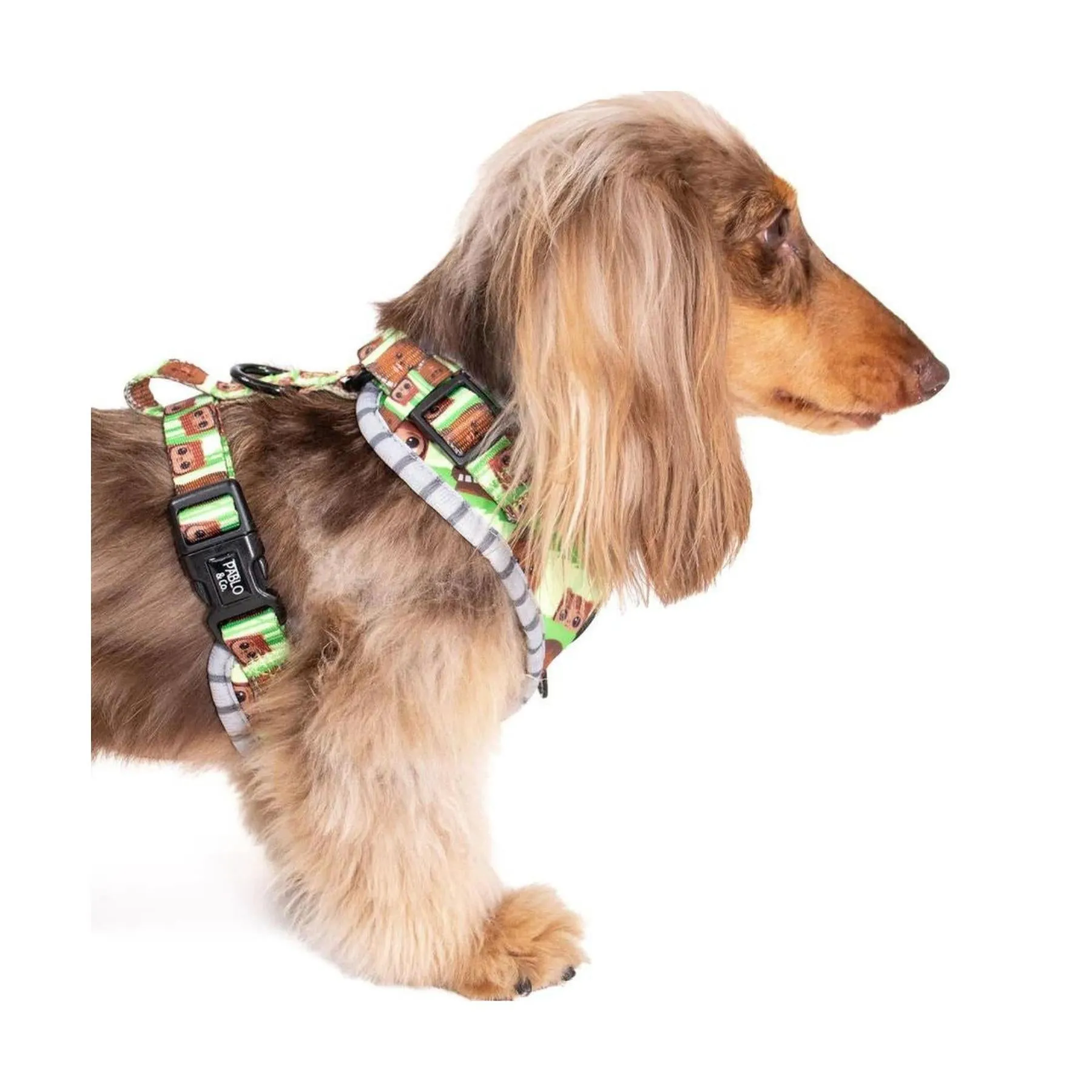 Chewbacca & Ewoks Adjustable Harness