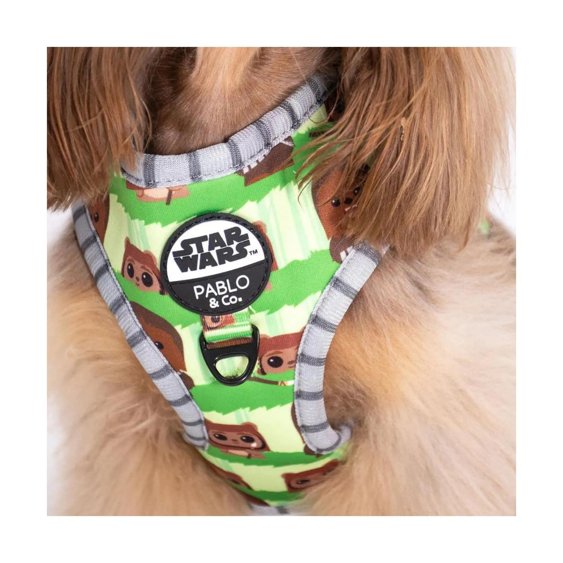 Chewbacca & Ewoks Adjustable Harness