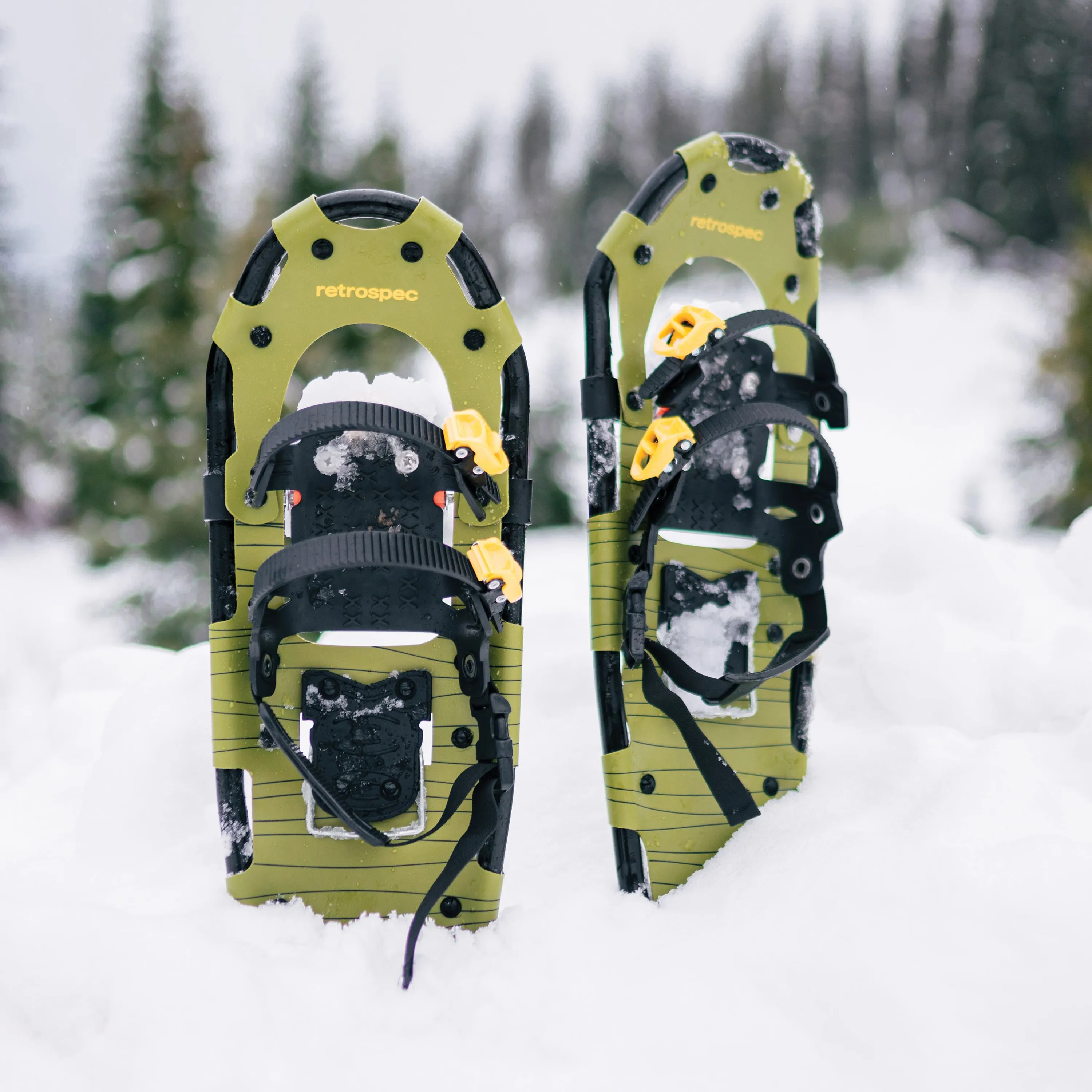 Drifter Lightweight Snowshoes