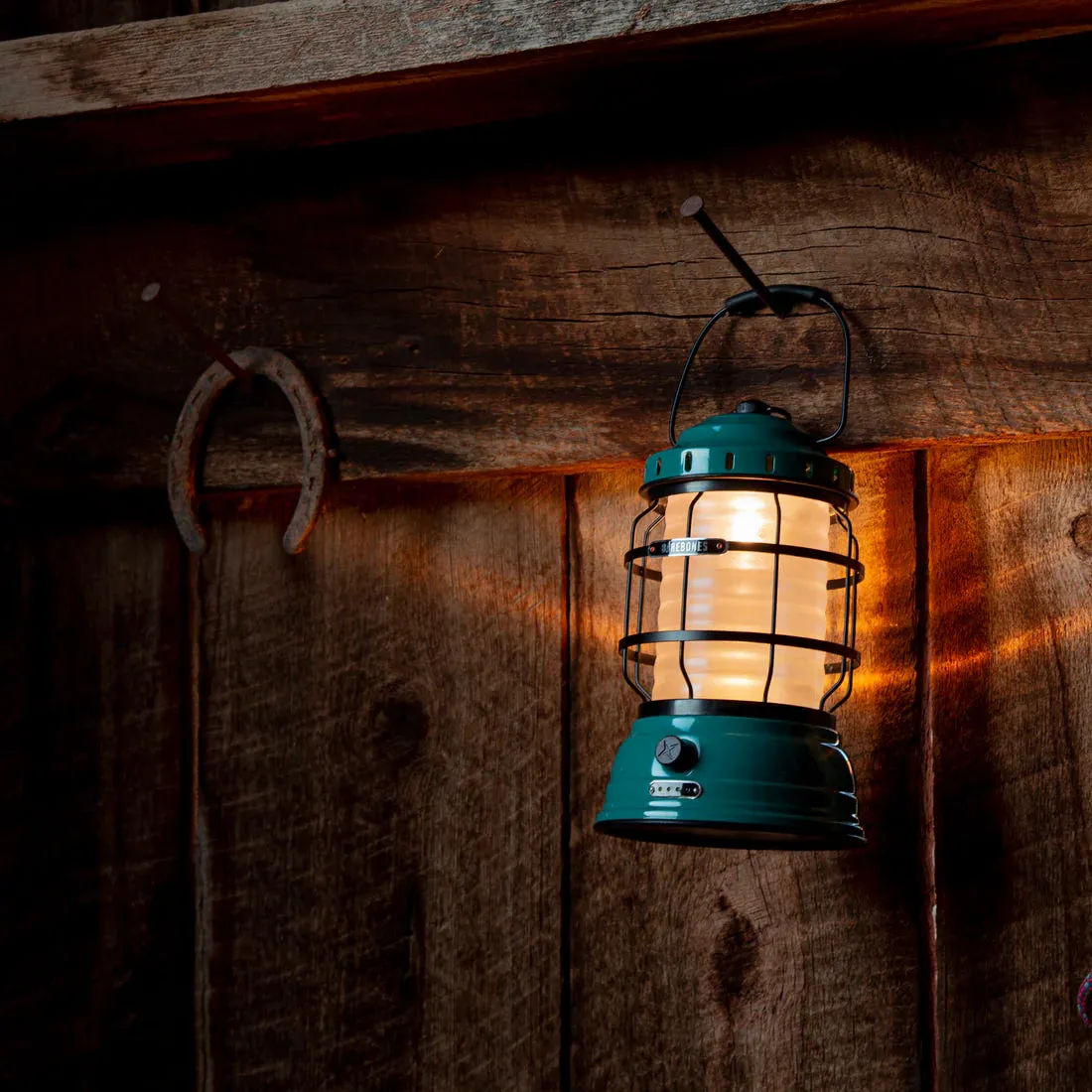 LIV-162 Forest Lantern