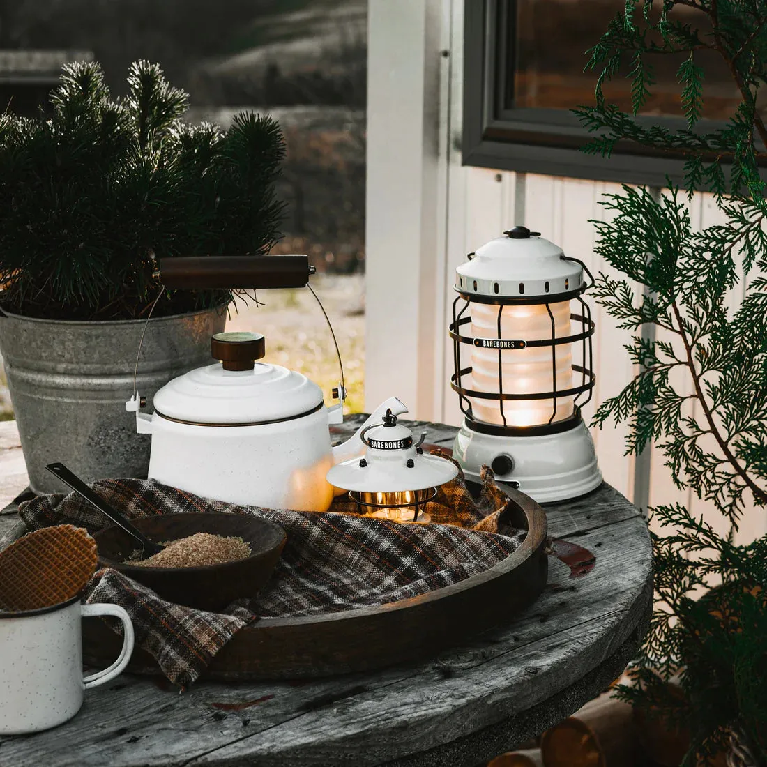 LIV-162 Forest Lantern